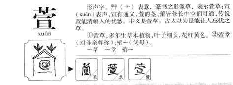 萱姓名學|萱字取名的含义